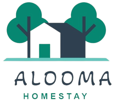 alooma01